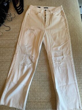 wild fable White Distressed Straight-Leg Jeans